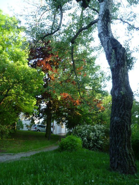 P108081966.jpg